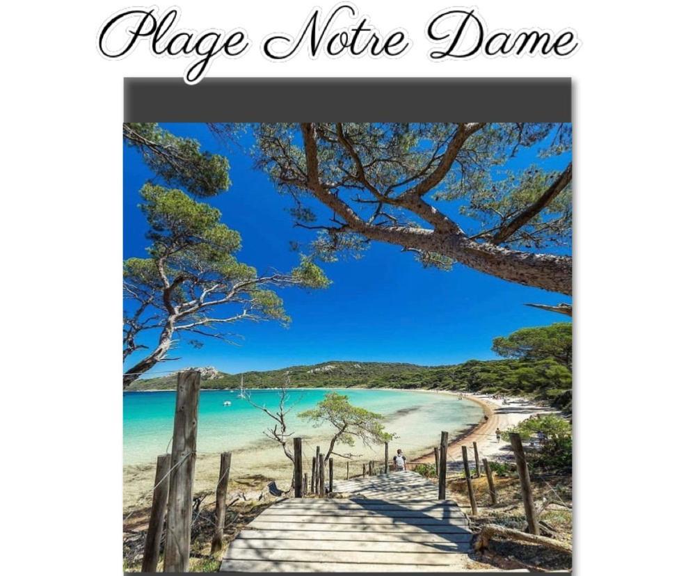 Le Mas De La Gran' Voile Rocbaron Εξωτερικό φωτογραφία